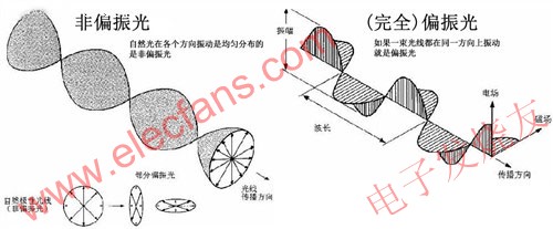 偏振光和偏振眼睛的原理 www.brongaenegriffin.com
