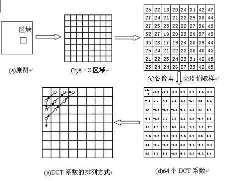 圖2.2.2  DCT變換過程 http://www.brongaenegriffin.com
