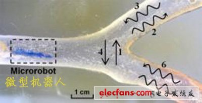 科學(xué)家開(kāi)發(fā)微型機(jī)器人進(jìn)入人體血管清除淤積