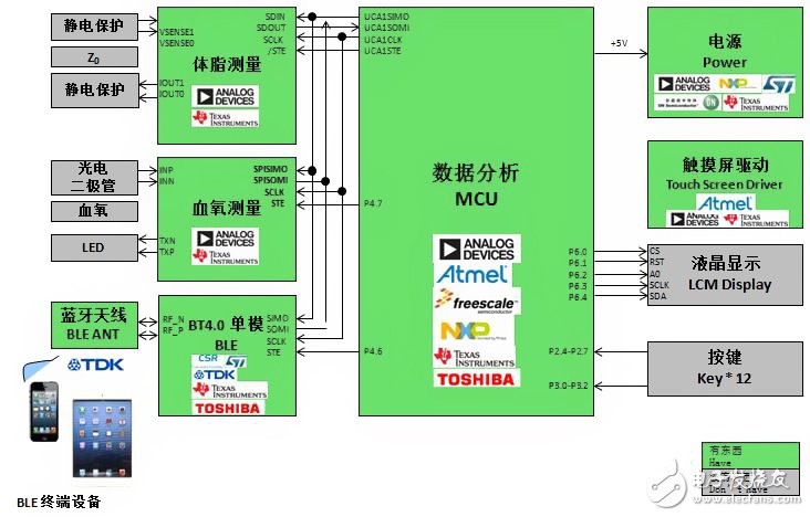 基于BLE技術(shù)的體脂、血氧計設(shè)計方案