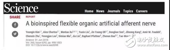 人造感覺神經(jīng)：以類似于生物神經(jīng)的方式發(fā)揮作用，實(shí)現(xiàn)“機(jī)器觸覺”的一大進(jìn)步