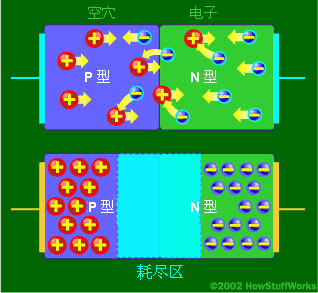 在PN結(jié)(junction)內(nèi)，N型材料中的自由電子填充了P型材料中的空穴。這樣，在二極管的中間就產(chǎn)生了一個絕緣層，稱為耗盡區(qū)。